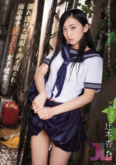 https://www.hentaijl.com/hentai/604/team-102